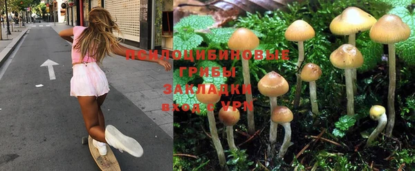 прущие крисы Тобольск