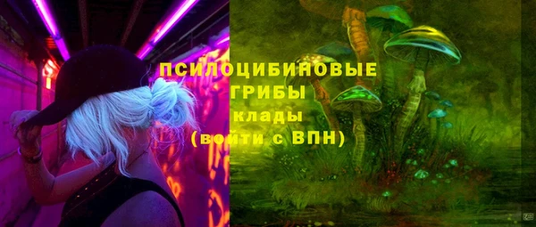 ГАЛЛЮЦИНОГЕННЫЕ ГРИБЫ Верхний Тагил